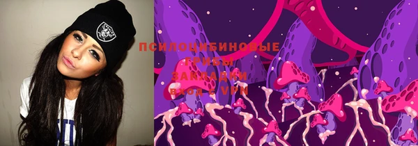 МДПВ Карталы