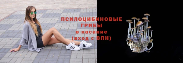 МДПВ Карталы