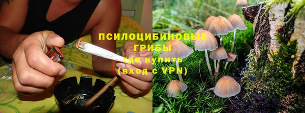 ECSTASY Карпинск